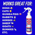 Ring Out for Pets: Control & Help Ringworm | Clean Pets Skin & Paws | Recovery & Itch Relief Calming Spray for Dog, Cat, Guinea Pig, Small or Large Animals/Pet. 8 oz Spray Bottle