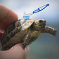2Pcs Turtle Cleaning Brush Mini Double-Sided Cleaning Brush Tortoise Accessories for Turtle Shell Fish Tank