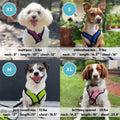 Gooby Comfort X Step in Lite Dog Harness - Choke Free, Escape Free with Light Breathable Mesh - Dog Harness for Small and Medium Breeds - Quick Release Buckle, Metal D-Rings - Turquoise, Medium