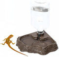 Lizard Bearded Dragon Water Bowl Dish Automatic Dispenser,17oz,Brown