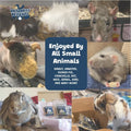 Treats, 100% All Natural Mini Bites for Rabbit Hamster Guinea Pig Chinchilla Pet Rat Mice Gerbil Bird Healthy Enrichment