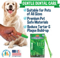 Bodhi Dog Toothbrush Combo Pack - Soft Finger & Dual-Ended Brushes - Gentle Bristles for Dogs & Cats - Easy Teeth Cleani
