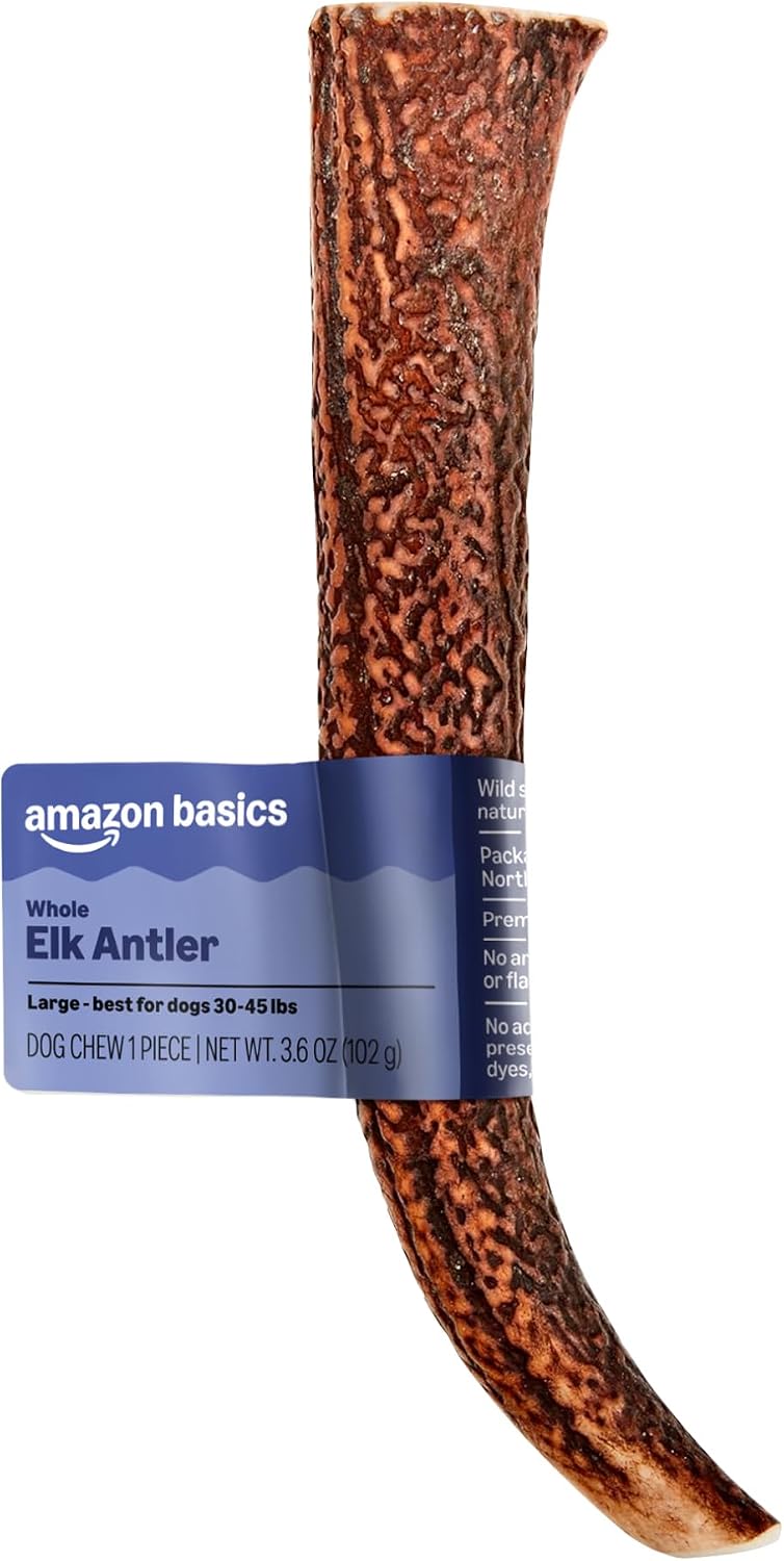 Basics Dog Elk Antler Chew, Naturally Shed, Whole, Large 8-9.5 inches, Long Lasting for Aggressive Chewers, Best for Dog
