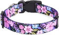 Mihqy Dog Collar for Small Dogs, Fashion Design, Floral Pink,S