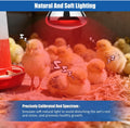 250W Heat Lamp Bulbs 1 Pack Infrared Heat Lamp for Chickens with E26 Socket and 5000 Hours Lifespan Heat Light Bulb for 