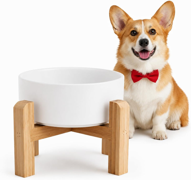 Elevated/Raised Ceramic Dog Bowl with Bamboo Stand，6 Inch 3.6 Cups Non Slip Heavy Weighted Single Pet Dish, for Small Medium Breed & Cats,Reduces Neck Strain White
