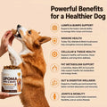 Lipoma Treatment for Dogs – Lumps & Bumps Support, Helps Reduce Fatty Tumors, Turkey Tail Mushroom Chews for Immune Heal