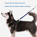 Bungee Leash Extension Attachment, 18" Shock Absorbing Lead Extension Absorber, Prevent Injury on Arm and Shoulder & Save Dogs from Getting Hurt, Great for Bicycle, Running, Walking,Blue