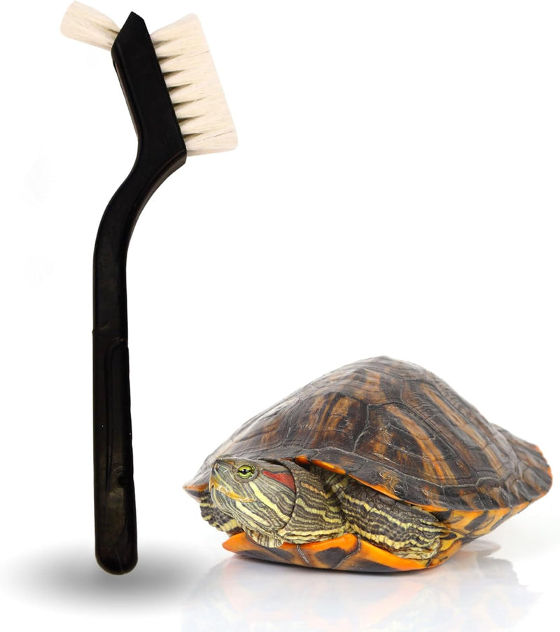 Turtle Cleaning Brush Remove Aquatic Mud, Dirt, & Contaminants from Tortoises Shells & Promoting Shell Health - Goat Hai