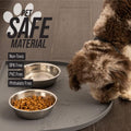 Leash Boss Fountain Mat, Silicone Water Mat Designed for Pet Fountains, Dog Gravity Water Bowls, Mats for Automatic Disp