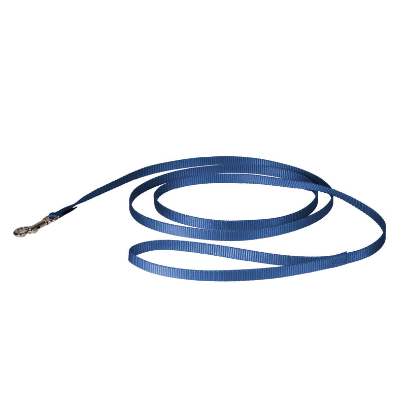 PetSafe Nylon Dog Leash Strong, Durable, Traditional Style Lead with Easy to Use Bolt Snap for Small, Medium and Large Dogs 3/8