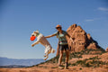 Ruffwear, Camp Flyer Dog Flying Disc, Lightweight 8.7 in Flexible Flying Disc Dog Toy for Land Fetch, Soft on Teeth, Durable/High‑Visibility, Waterproof Finish, Doubles as Bowl, Red Sumac