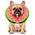 MIDOG Soft Inflatable Dog Cone, Donut E-Collar Alternative for After Surgery, Prevents Licking, Allowing Normal Eating & Vision, Comfortable Recovery Collar for Small Medium Large Dogs & Cats, Red-M