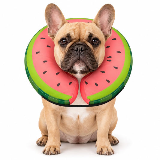 MIDOG Soft Inflatable Dog Cone, Donut E-Collar Alternative for After Surgery, Prevents Licking, Allowing Normal Eating & Vision, Comfortable Recovery Collar for Small Medium Large Dogs & Cats, Red-M