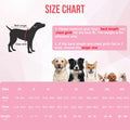 Nasjac Dog Surgery Recovery Suit - Zipper on Recovery Onesie for Female Dog