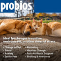 Probios for Dogs Soft Chews, Daily Probiotic Supplement for Gut Health, Digestion and Immune Support Medium and Large Breeds, Chicken Liver Flavor, 8.46oz 60 Chews