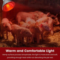 DaToo Infrared Heat Lamp Bulb for Chickens Red Heat Lamp Flood Light Heat Lamp Bulb 150 W Heating Bulbs for Brooder Coop