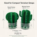 Reptile Humidifier, 2 Pack Passive Cactus Terrarium Decor