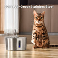 KittySpout Stainless Steel Cat Water Fountain Automatic Drinking Fountain, Quiet Circulating Water Bowl, Dishwasher Safe