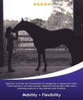 Hyalogic HA Joint Cream for Horses 6 oz Hyaluronic Acid Soothes Equine Joints and Muscles - HyalunRub