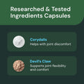 VetriScience Veterinary Strength Comfort & Ease Capsules - Mobility Supplement for Pets - Supports Aches from Normal Exercise - Joint Care for Dogs & Cats - 180 Count