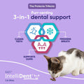 C.E.T. Intellident Cat Bites for Dental Care