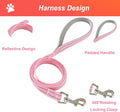 Hipubby Dog Harness Small Sized and Leash Set, No Pull Soft Mesh Puppy Vest, Reflective Breathable Lightweight Pet Harne
