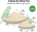 2 Pcs Flat Perches for Bird Cages Flat Bird Perch Platform Birds Perch Birds Cages Accessories Fan Shape for Parakeet Conure Cockatiel Budgie Rat Chinchilla Gerbil Hamster (2 Size)