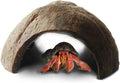 SunGrow Hermit Crab Coconut Cave, Spacious Hide Interior Habitat Comfort Zone, Ascension Coco Shelter Tank Decor Utility