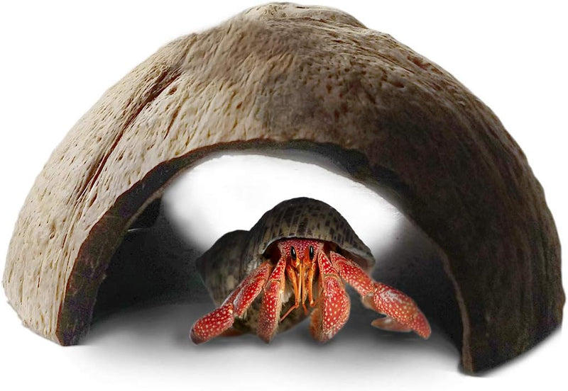 SunGrow Hermit Crab Coconut Cave, Spacious Hide Interior Habitat Comfort Zone, Ascension Coco Shelter Tank Decor Utility