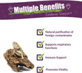 AMBER NATURALZ Reptaid for Reptiles Under 250g, Immune & Respiratory