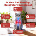 Lysine for Cats, Helps Reduce Sneezing, Coughing, Runny Nose & Upper Respiratory Treatment – Taurine + Echinacea Immune Support – Cat Cold, Asthma & Nose Relief – Respiratory Support Bars