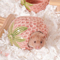 Ceramic Hamster Hideout Strawberry Chew Proof Syrian Hide Cool Bed