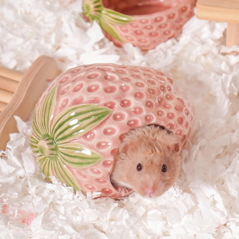 Ceramic Hamster Hideout Strawberry Chew Proof Syrian Hide Cool Bed