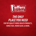 Jeffers Expression Protective Horse Boots, 1 Pair, Medium - Safe Neoprene Leg Guards, Durable Strap Closures, Front & Hi