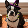 Halloween Beaded Pet Necklace Collar Dog Cat Holiday Costume Collar 16In