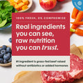 Instinct FreshRaw Meals, Natural Frozen Dog Food, Grain-Free - Grass-Fed Beef, 16 oz. (Pack of 6)