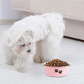 Stainless Steel Dog Bowls, Nonslip Rubber Bottom No Spill Proof Skid Metal Insulated Dog Bowls for Large Medium Small Breed Dogs (Pink, 3.6 Cups/29 OZ)