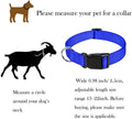 Goat Lead and Goat Collars Set Small Farm Animal Goat Sheep (Blue)