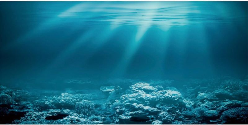 24x16 in Undersea Aquarium Backdrop Underwater World Fish Tank Background