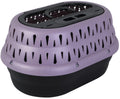 Petmate Top Load Plastic Cat Kennel for Small Dogs, Puppies & Cat Carriers, One-Door, Top Loading, Made in USA, 19" for Pets Up Tp 10 lb, Purple