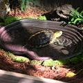 Extra Large Reptile Bathing Pool Reptile Feeding Dish Water Bowl with Ramp Aquarium Ornament for Gecko, Snake, Turtle, B