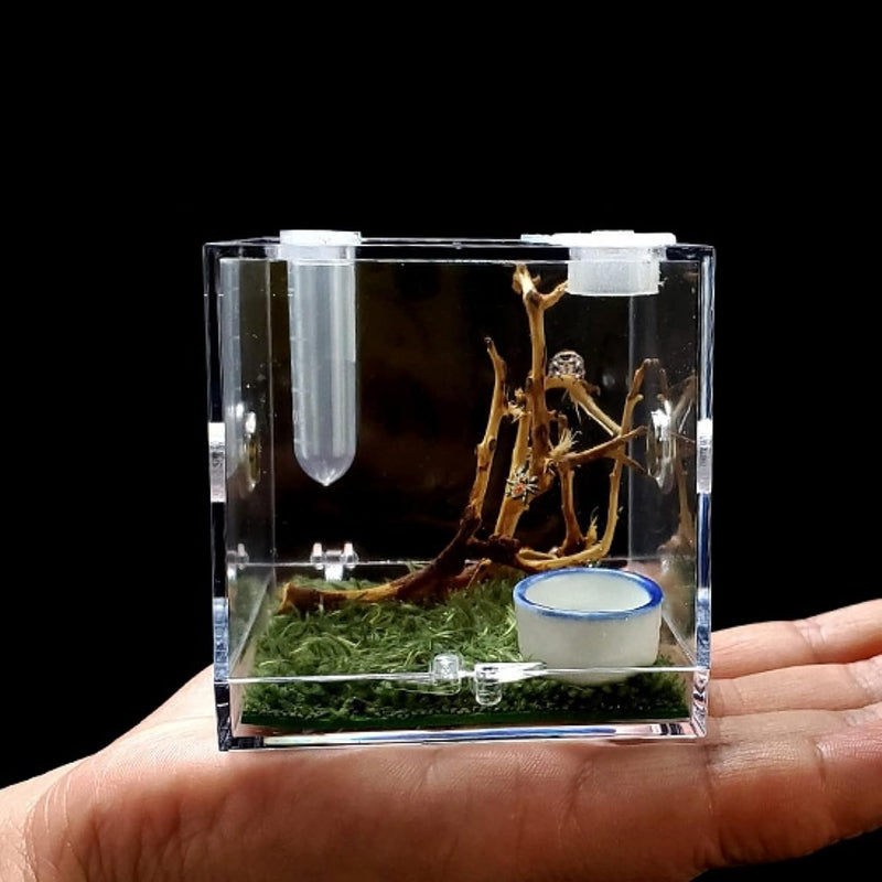 AWXZOM Spider Terrarium, Acrylic Reptile Breeding Box Jumping Spider Enclosure with Dropper Tongs Snail cage, Cricket En