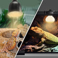 LUCKY HERP New Upgrade 3 Pack 100W Reptile Heat Lamp Bulb (3nd Gen, Safer), Amphibian UVA Heat Light Bulb, Reptile Baski