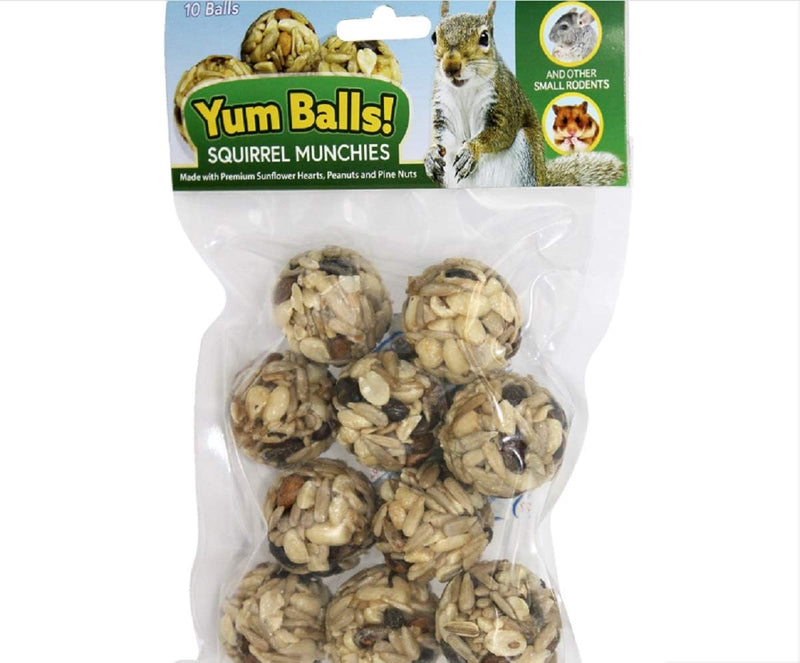 Yum Balls! - Squirrel Munchies - Healthy Natural Treat with Nuts & Seeds - Squirrels, Chinchillas, Prairie Dogs, Degus, 