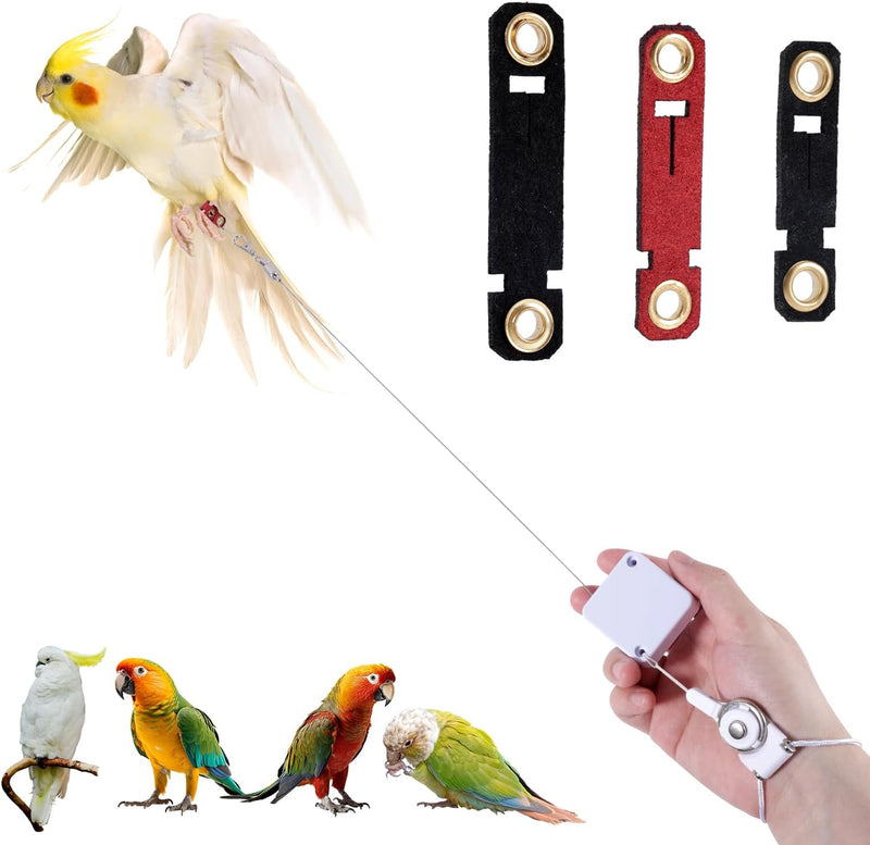 Retractable Bird Leash, 6.56ft Bird Harness with 3 Sizes of Foot Rings Parakeet Flying Ankle Harness Parrot Leg Leash Ou