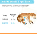 TailWaggers Dog Wheelchair for Back Legs | Adjustable Mobility Aid | All-Terrain Wheels