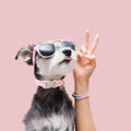 Babole Pet Girl Dog Collar for Puppy Small Dogs - Cute Pink Plaid & Bow Print Spring/Summer Puppy Collar, Soft Adjustable Holiday Female Dog Collars with Quick Release Buckle XS