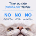 Boxie Unscented 30 Day Odor Control Clumping Clay Cat & Kitty Litter 16 lb, 99.9% Dust-Free, Hard Flat Top Clumps, No Fragrances No Fillers, Long-Lasting, Easy to Scoop