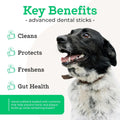 VetPro Complete Dr. Joseph's Advanced Dental Sticks with Prebiotics, 15 Sticks, Cleans Teeth, Freshens Bad Breath, and Supports Gut Health, Target Tartar and Plaque Build Up, Veterinarian Formulated